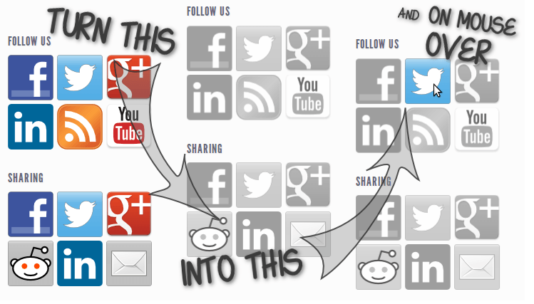 social media feather